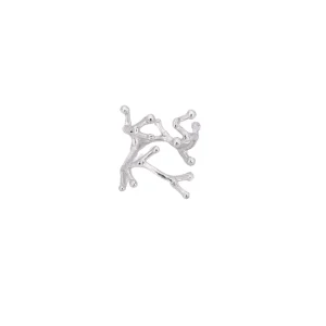 Anello ramo