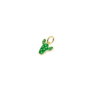 Charm cactus Momenti mania
