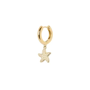 Orecchini con cerchio e stellina Momenti mania